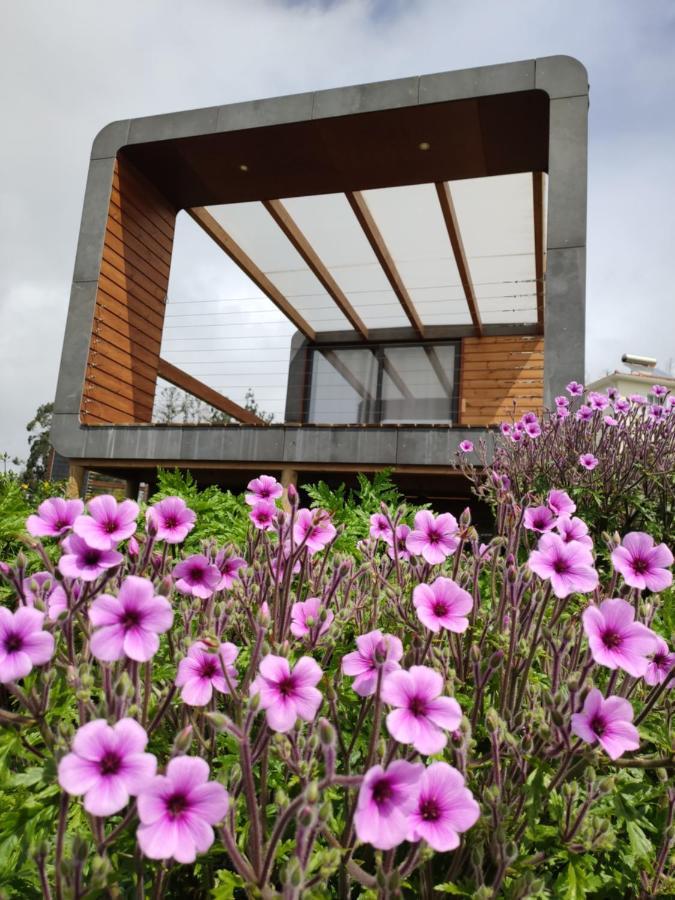 Calheta Glamping Pods - Nature Retreat المظهر الخارجي الصورة
