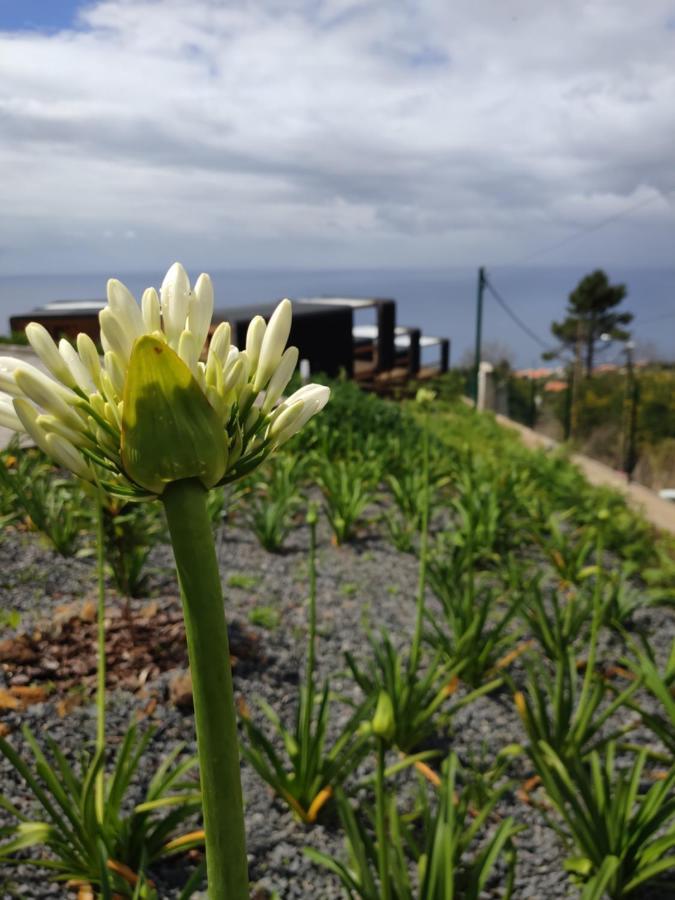 Calheta Glamping Pods - Nature Retreat المظهر الخارجي الصورة